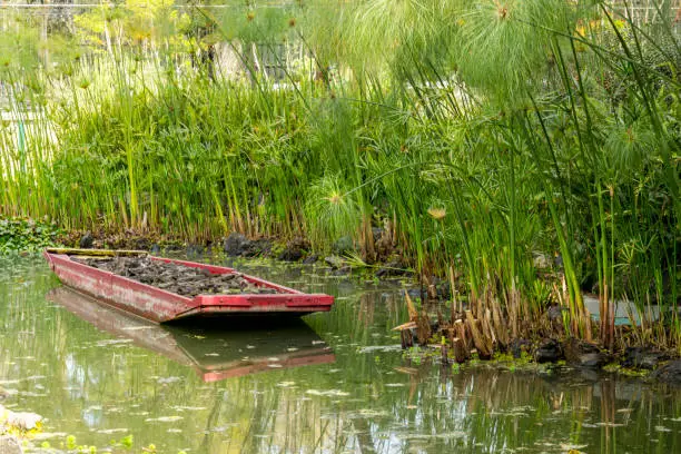 Red flat bottom boat on pond in Chapultepec park Mexico City