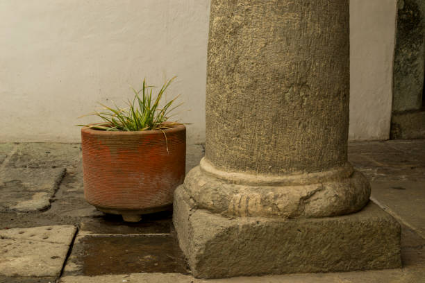 stone pillar with pot plant - ceramics column garden pot ceramic imagens e fotografias de stock