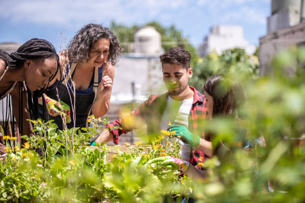 молодые люди �учатся городскому садоводству - vegetable garden urban scene city life community garden стоковые фото и изображения