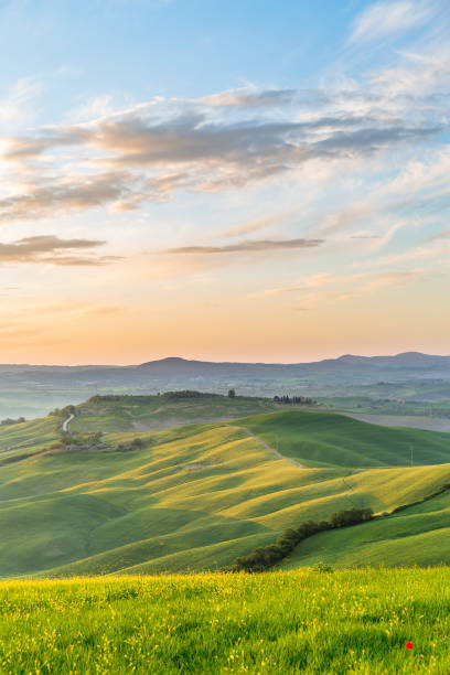 istock Sunrise in a rolling rural landscape 1204237263