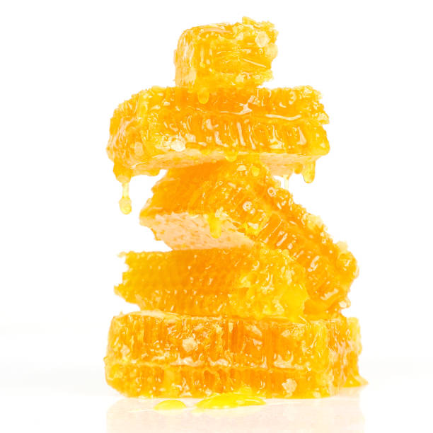 briquettes of honeycomb on white background