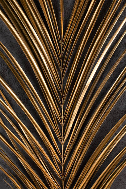 istock closeup of golden palm leaf on dark grey background 1204246824