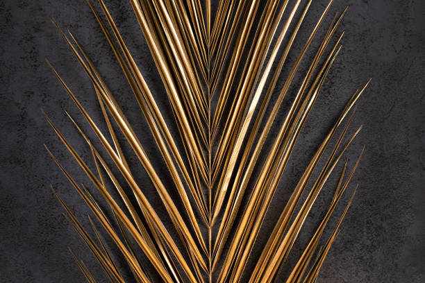 closeup of golden palm leaf on dark grey background
