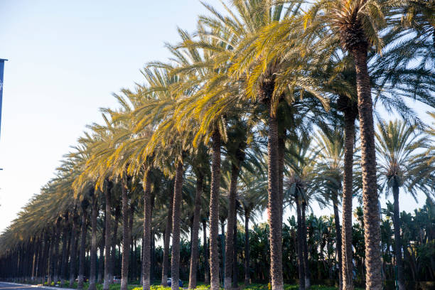 Anaheim, California