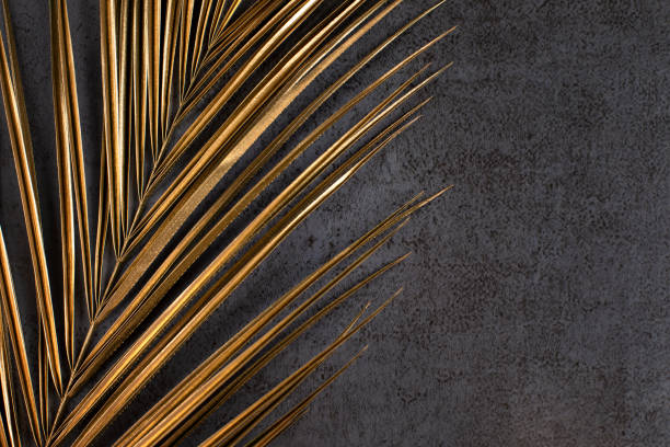istock closeup of golden palm leaf on dark grey background 1204247517