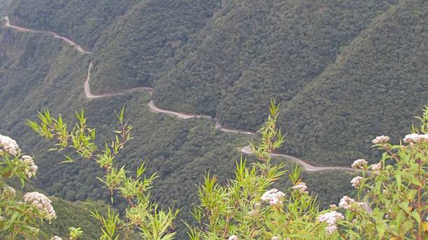 istock Flowers and winding road 1204251317