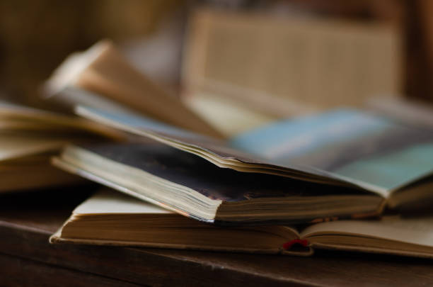 istock Close-up of two open books on a desk. 1204252702