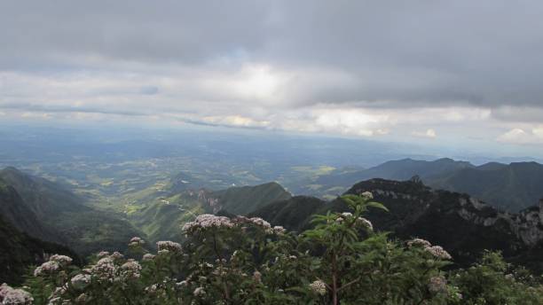 istock Flowers the mountain range and cloudy sky 1204253432