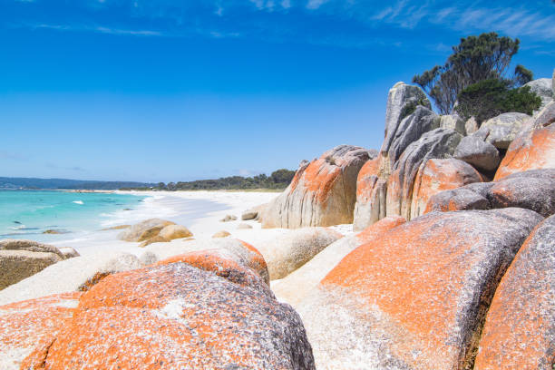 istock Rock formations at the Bay of Fires 1204256839