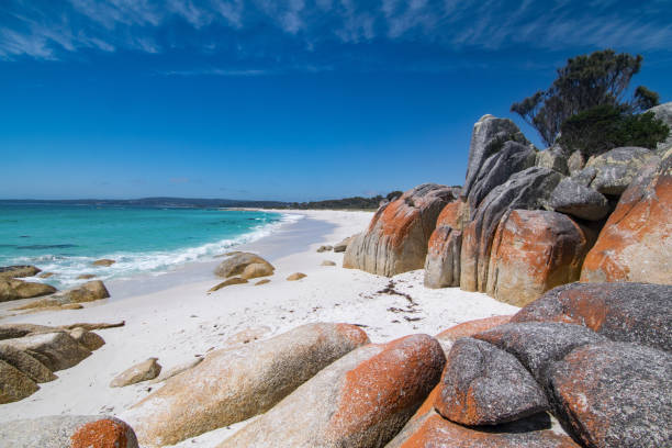 istock Rock formations at the Bay of Fires 1204257685