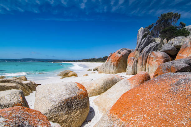 istock Rock formations at the Bay of Fires 1204257823
