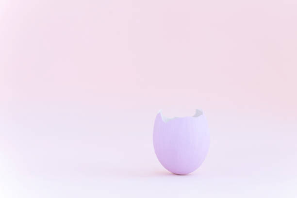 istock Purple easter eggshell on pastel pink background. Egg is a symbol of the celebration of a religious holiday among Catholics, Christians and Protestants 1204257942