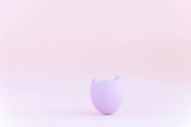 istock Purple easter eggshell on pastel pink background. Egg is a symbol of the celebration of a religious holiday among Catholics, Christians and Protestants 1204257944