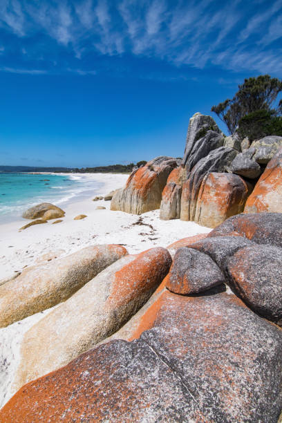 Rock formations at the Bay of Fires The Bay of Fires is a bay on the northeastern coast of Tasmania in Australia, extending from Binalong Bay to Eddystone Point. It is a region of white beaches, blue water and orange-hued granite (the colour of which is actually produced by a lichen). The northern section of the bay is part of Mount William National Park; the southern end is a conservation area. bay of fires photos stock pictures, royalty-free photos & images