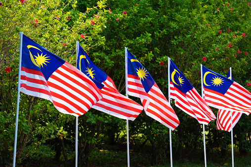 Malaysia flags flying on poles against nature background