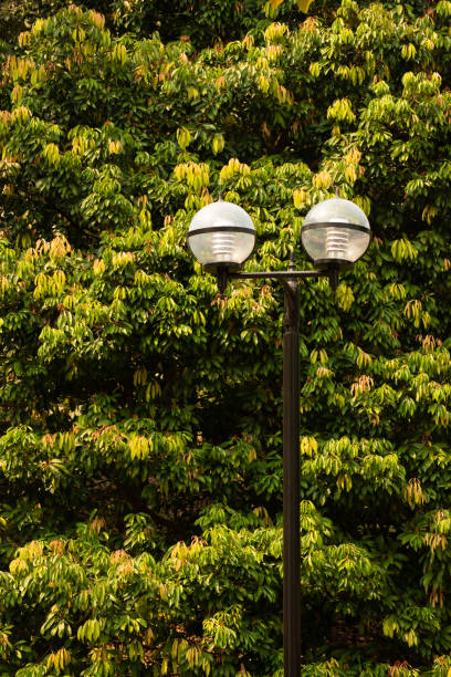 istock Street light against nature background 1204258058