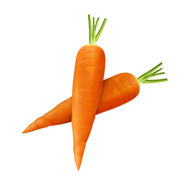 istock Two Organic Carrots realistic illustration isolated on white background. 1204258202