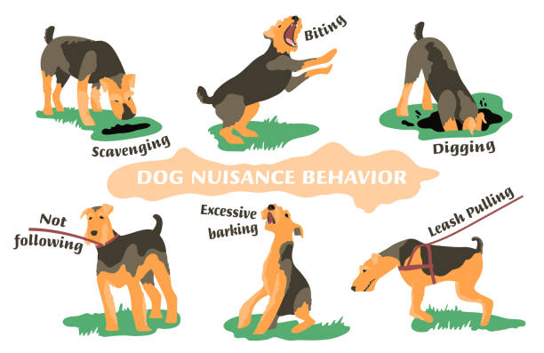 illustrazioni stock, clip art, cartoni animati e icone di tendenza di set di icone del problema di comportamento del cane - cane morde coda