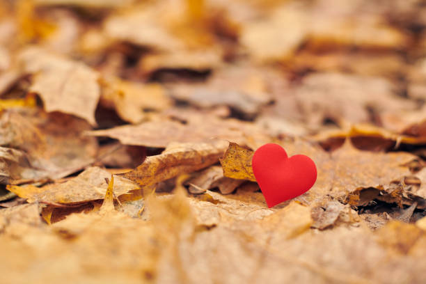 istock Infatuation, one-sided romantic love concept 1204259726