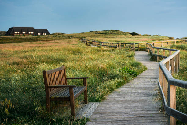 istock Wooden pathway through high grass on Sylt island in the evening 1204260270