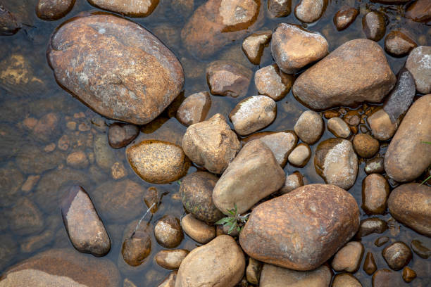 istock Top view photography of  river rocks 1204261323