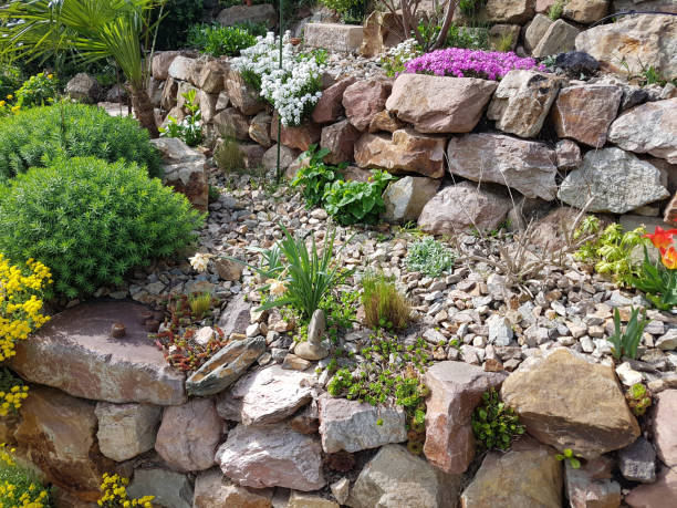 rockery, drywall, mur en pierre naturelle - dried plant photos et images de collection