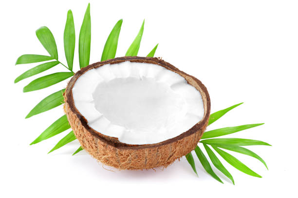 istock Coconut with green leaves isolated on white background 1204264339