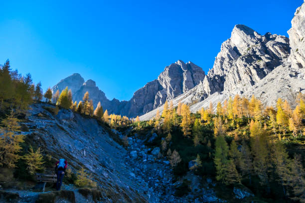 istock Grosse Gamswiesenspitze - A girl taking a rest while hiking in Alps 1204269291