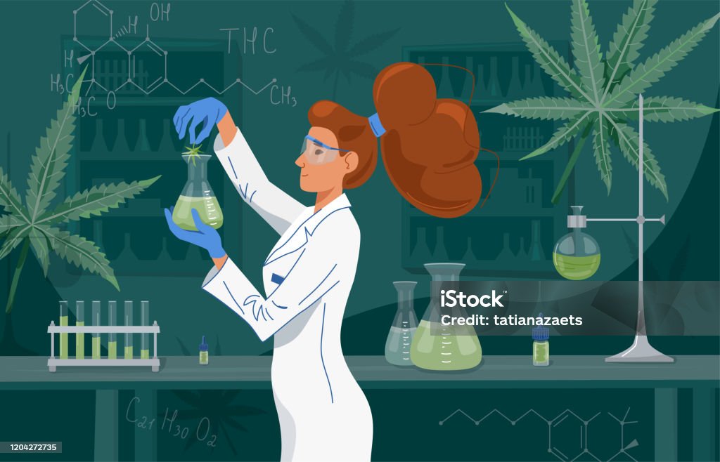 Female scientist in labcoat wearing nitrile gloves, doing experiments in lab. Cannabis oil in a laboratory. Medical research cbd and thc. Chemistry concept. Vector background Female scientist in labcoat wearing nitrile gloves, doing experiments in lab. Cannabis oil in a laboratory. Medical research cbd and thc. Chemistry concept. Vector background. Removing stock vector