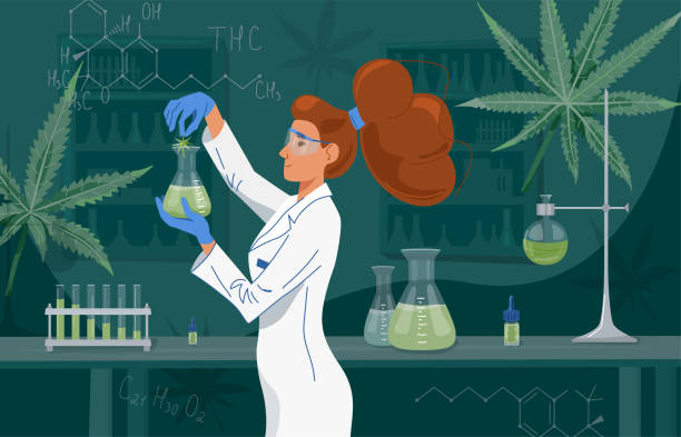 Female Scientist In Labcoat Wearing Nitrile Gloves Doing Experiments In Lab  Cannabis Oil In A Laboratory Medical Research Cbd And Thc Chemistry Concept  Vector Background Stock Illustration - Download Image Now - iStock