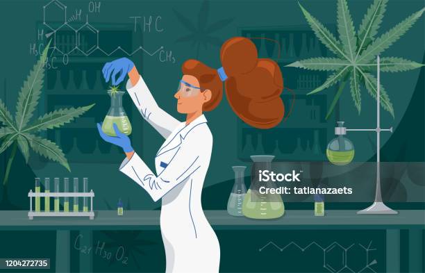 Female Scientist In Labcoat Wearing Nitrile Gloves Doing Experiments In Lab Cannabis Oil In A Laboratory Medical Research Cbd And Thc Chemistry Concept Vector Background Stock Illustration - Download Image Now