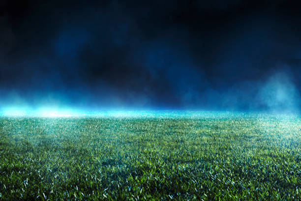 istock Empty green turf on a sports field in a stadium 1204272894
