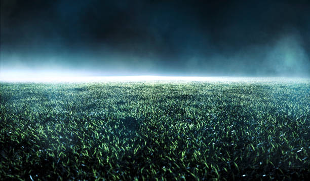 istock Spotlight shining on empty green turf on a sports field in a stadium 1204272964
