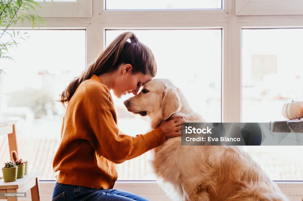 beautiful woman hugging her adorable golden retriever dog at home. love for animals concept. lifestyle indoors Dog Stock Photo