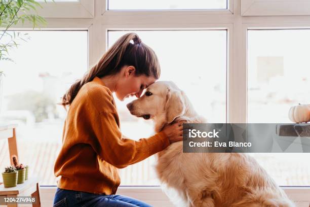 Beautiful Woman Hugging Her Adorable Golden Retriever Dog At Home Love For Animals Concept Lifestyle Indoors Stock Photo - Download Image Now