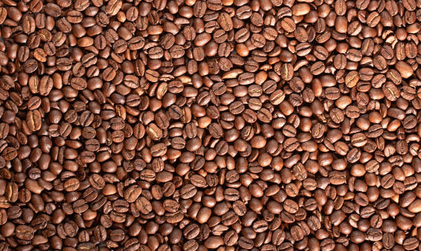 istock Texture of coffee seeds, selective focus, close-up 1204275488