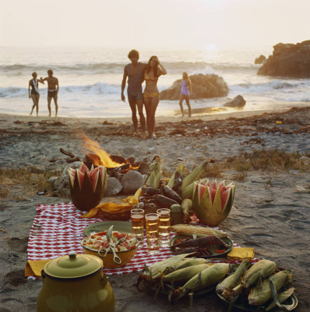picknick am strand - outdoor fire fotos stock-fotos und bilder