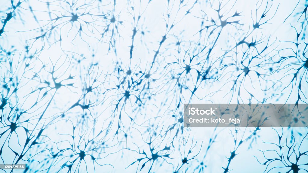 Neuron TEM view Neuron TEM view - 3d rendered image of neuron system. SEM or colored TEM view. Medical research concept. Multiple Sclerosis Stock Photo