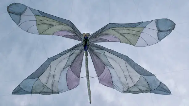 Photo of Large fabric butterfly