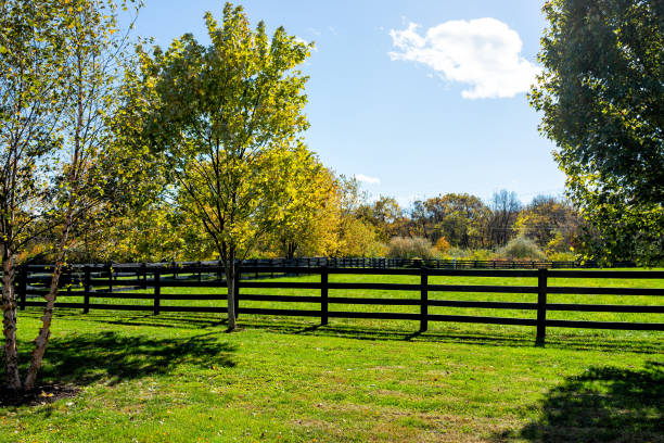 clôture pour des chevaux pâturage sur des terrains de domaine de ferme dans la campagne de la virginie dans le comté de frederick pendant la saison d’automne d’automne avec le paysage vert d’herbe - paddock photos et images de collection