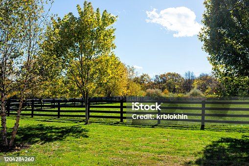 istock Fence for horses pasture on farm estate grounds in Virginia countryside in Frederick county during autumn fall season with green grass landscape 1204284260