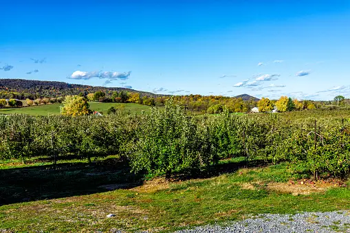 Bilder zum Thema Orchard Glen Park Kostenlose Bilder auf Unsplash