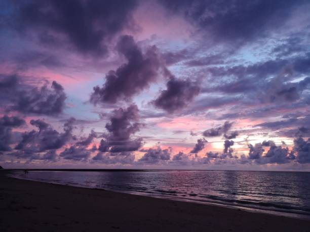 istock Shades of purple 1204285687
