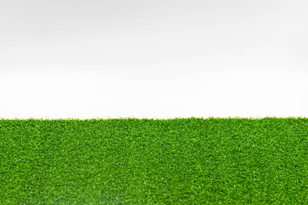 istock A ground of grass with white background 1204285795