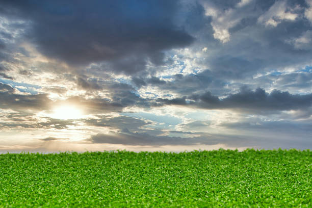 istock A ground of grass with clouds in the sky and sun 1204285993