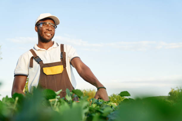 istock Happy afro american man relaxing during gardening work 1204288055