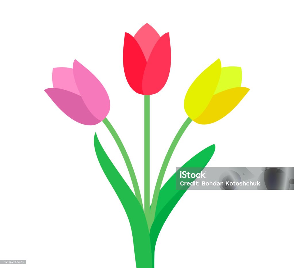 Vectơ Hoa Tulip Tulip Biểu Tượng Phẳng Của Hoa Tulip Ngày 8 Tháng ...