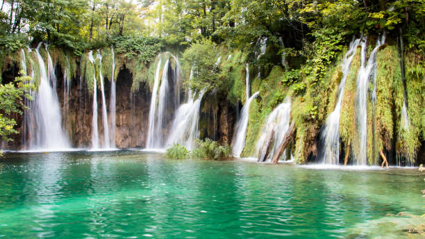 istock Water pours over the iconic Plitvice waterfalls 1204296046