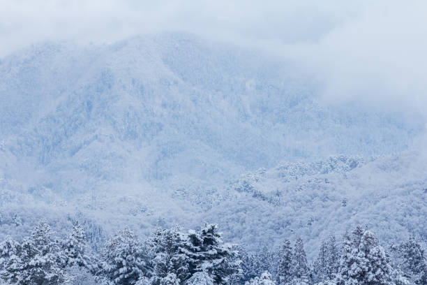 Japan akita winter season