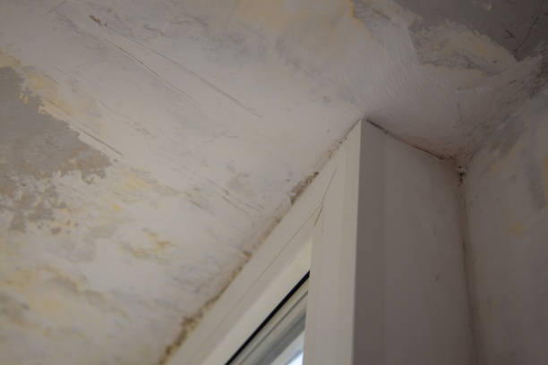 istock Handyman carpenter painter renovating terrace and assembling glass windows with tools 1204312177